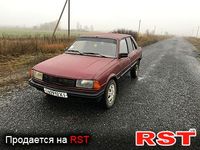 PEUGEOT 305